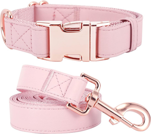 Set collare guinzaglio - set,