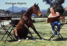 Bobcat Goldthwait: Hot To Trot