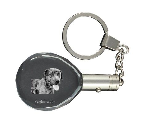 Catahoula leopard dog - catahoula,
