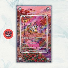 Pokémon Teca Magnetica