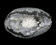 Rivestimento lucido fiore di