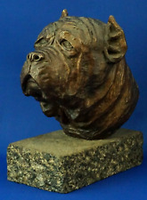 Scultura bronzo testa cane mastino napoletano 1800 XIX Firmata G.C.P. Italia.