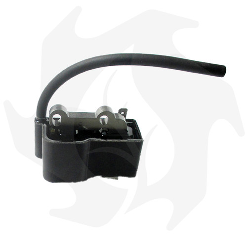 Bobina accensione kawasaki - accensione,
