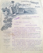 § CARTA INTESTATA