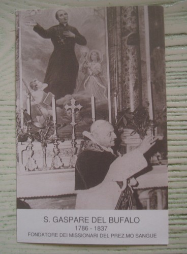 San gaspare del bufalo - gaspare,