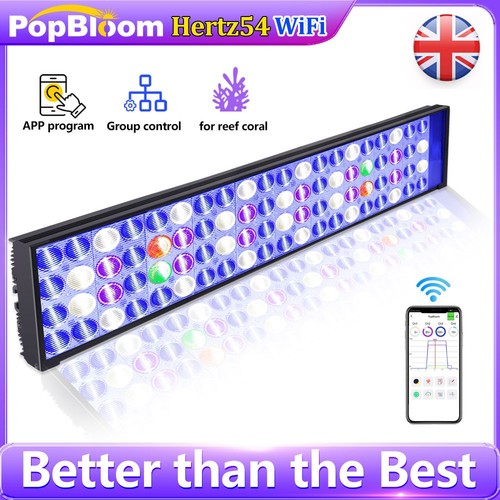 Popbloom h54 wifi - h54,