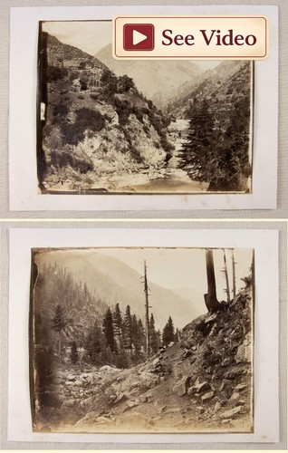 19thc india himalaya albumen - india,