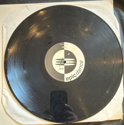 Vinyl gloria estefan - vinyl, cherchez