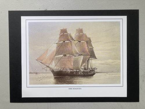 Naval print hms - naval, boadicea