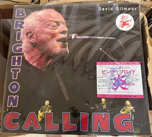 David gilmour brighton - david,