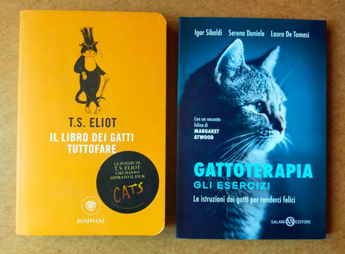 Libro dei gatti - dei, +