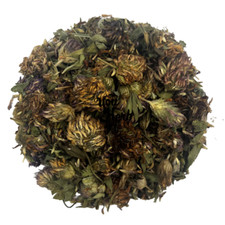 Trifoglio Rosso Fiori Interi