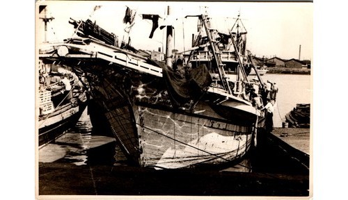Fotografia mercato del pesce - mercato,