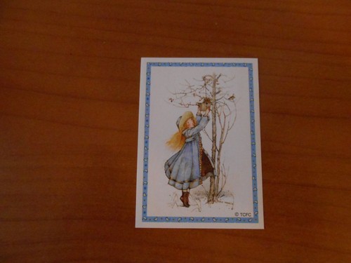 Figurina holly hobbie - holly,