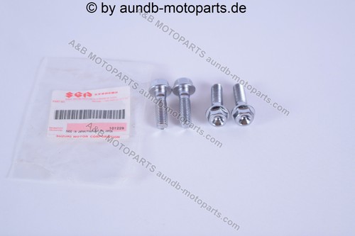 Viti pinza freno gsxr 1000 - viti,