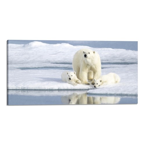 Quadro stampa tela con - stampa,