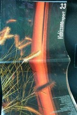 VIABIZZUNO REPORT 33 AA.VV