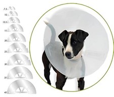 COLLARE ELISABETTIANO PLASTICA OPACO CANI CUCCIOLI GATTI