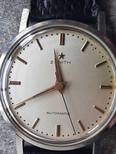 Raro zenith stellina - zenith,