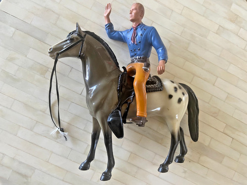 Cavallo appaloosa cavaliere - appaloosa,