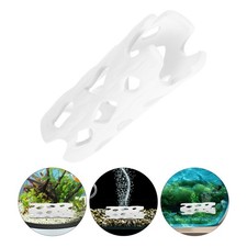  Betta Acquario Per Pesci