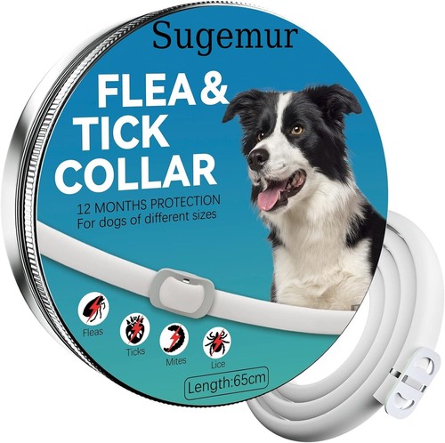 Collare antipulci cane - antipulci,