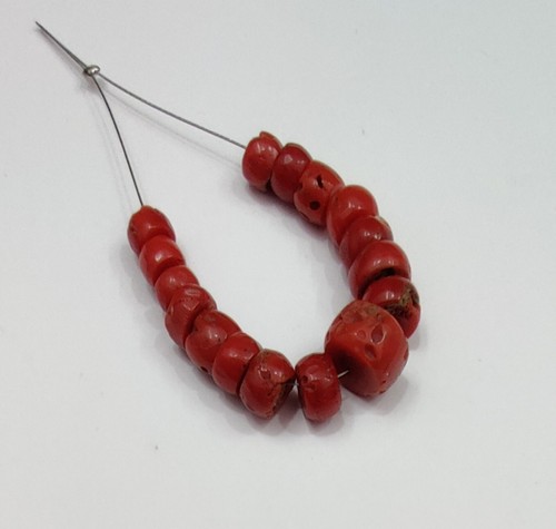 Autentico corallo rosso