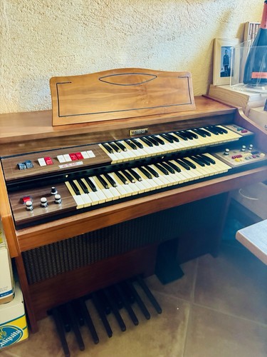 Organo elettronico farfisa - organo,