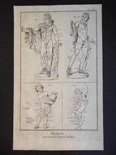 Proportions de l’Apollon