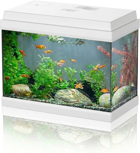 Acquario vetro per pesci - in,
