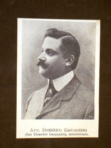 Deputato avvocato domenico - avvocato,