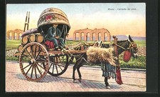 Roma, Carretto da vino
