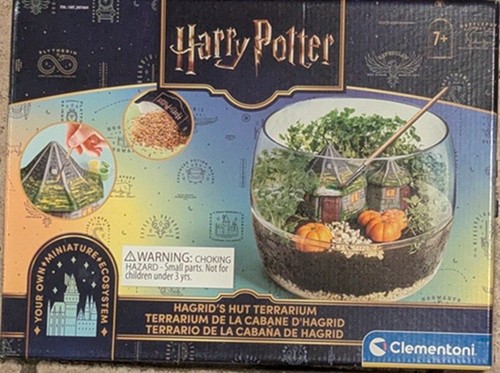 Harry potter hagrid - harry, hut