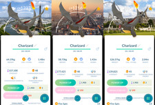 Shiny Charizard Paris BG |