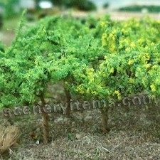  MP SCESAGGIO 20 Vitigni Scala