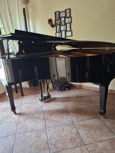 Pianoforte 4 coda - , 1/4