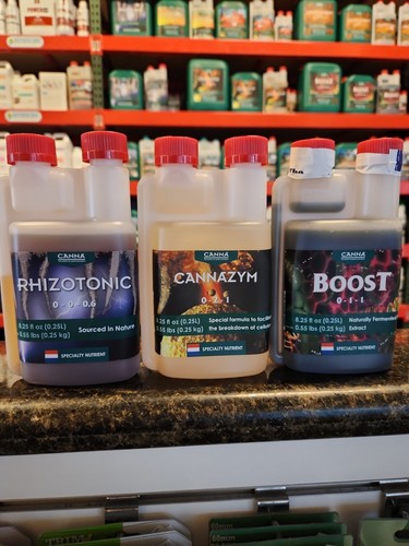Canna bundle rhizotonic - canna,