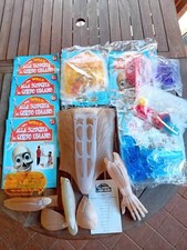 Alla scoperta del corpo umano