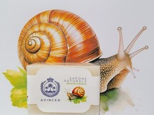 Sapone Artigianale BAVA DI