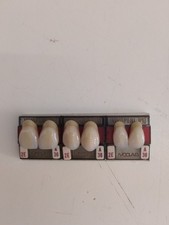 Odontotecnico Stecca Denti