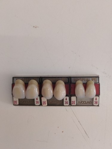 Odontotecnico stecca denti - stecca,