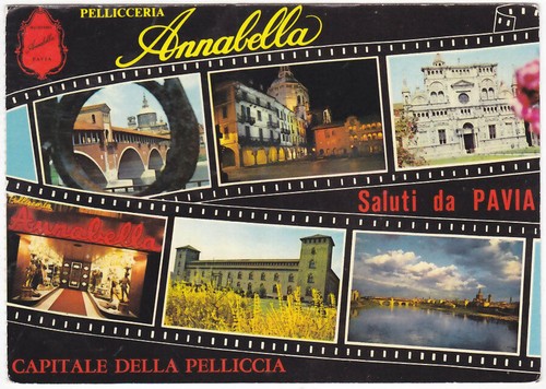 Pavia saluti - pavia,