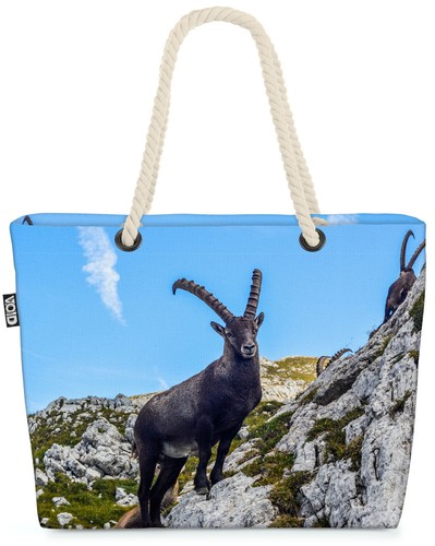 Capricorno alpi montagne - capricorno,