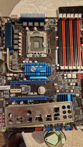 Pacchetto scheda madre - , asus