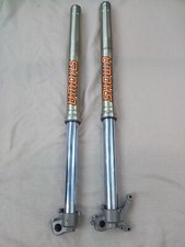 Showa 47mm twin chamber spring
