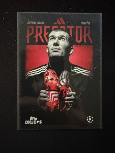 Inserto zinedine zidane - inserto,