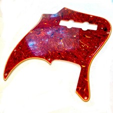 Battipenna tartaruga reliquia