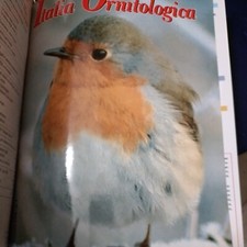 Italia ornitologica anno 1996