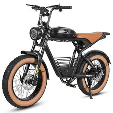 SAMEBIKE 20 pollici bicicletta