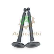 Valvola scarico e aspirazione